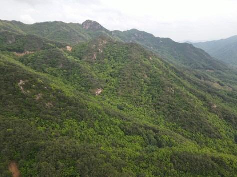 상주 두루봉 경제림육성단지