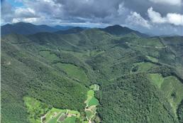 순창 여분산 조림 성공지