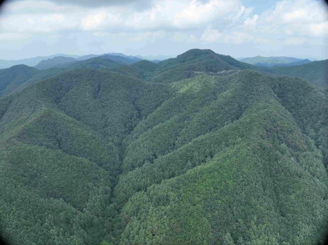 샘봉-노성 선도 산림경영단지