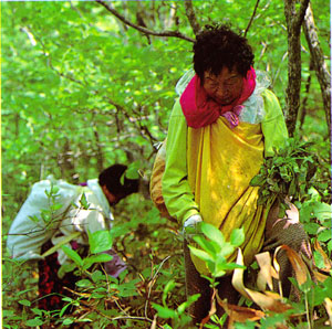 나물뜬는 아낙네(Women collecting mountain vegetables)