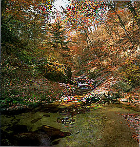 청암사 계곡의 늦가을(Gyegok(valley) around Cheongamsa(temple) in late autumn)