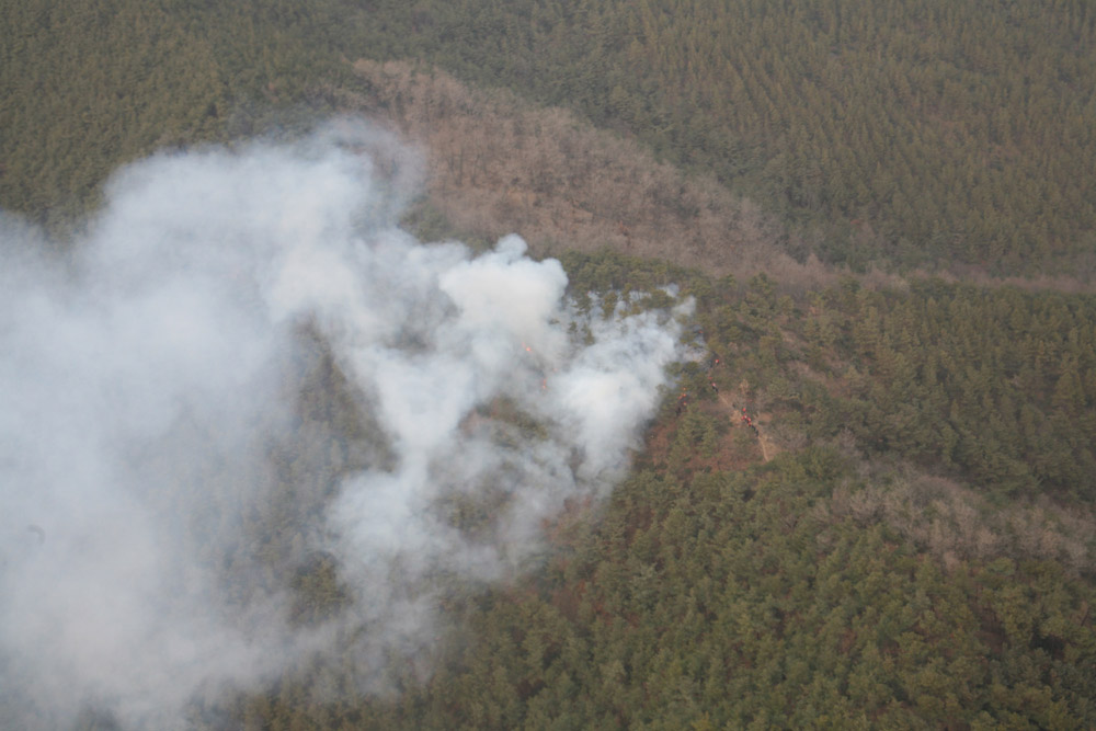 경북 고령군 성산면 고탄리 산불발생  이미지1