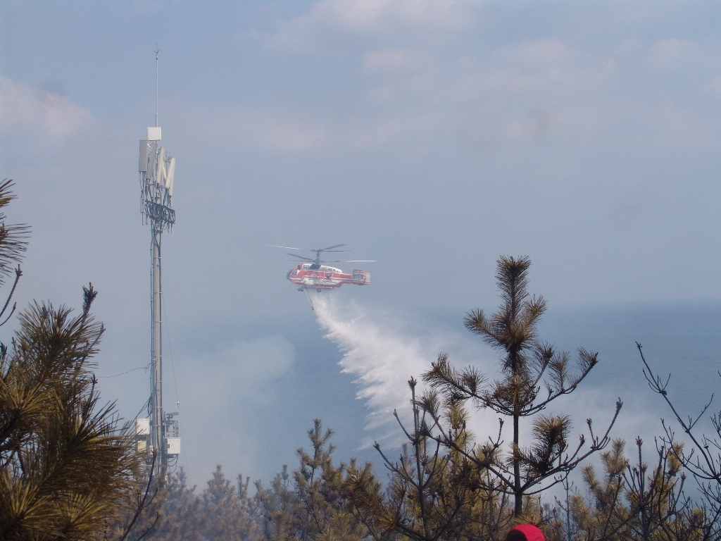 경북 영덕군 영덕읍 창포리 산불 이미지2