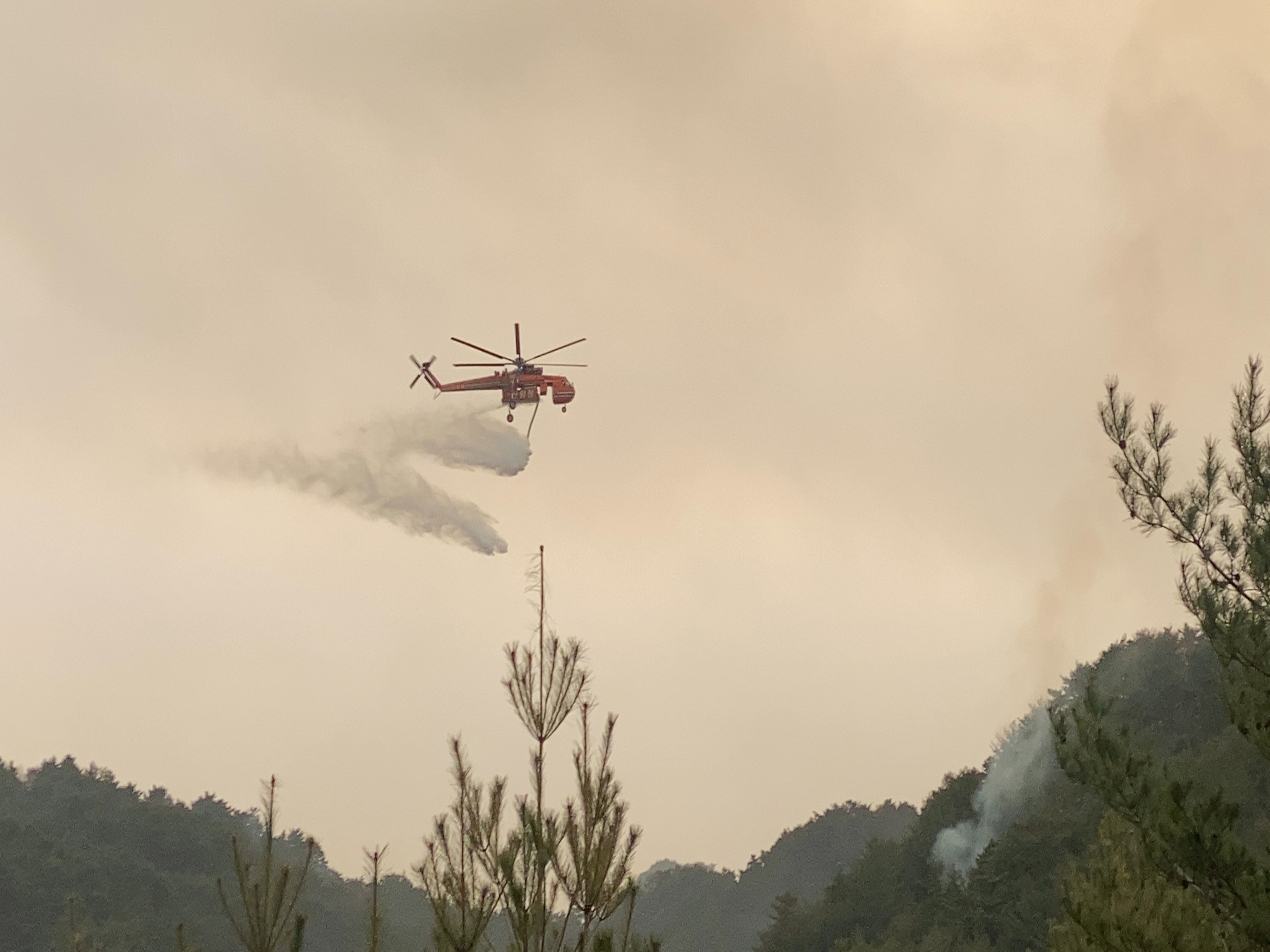 산림청 안동산림항공관리소, 설 명절 산불 대비 비상근무 실시 이미지2
