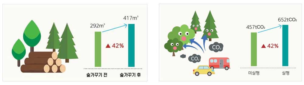 나무의 양은 숲가꾸기전 292㎥에서 숲가꾸기 후 417㎥로 42% 증가, 이산화탄소 흡수량은 숲가꾸기전 457tCO2에서 숲가꾸기후 652tCO2로 42% 증가